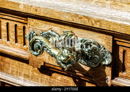 La poignée de porte lion en laiton exquise ajoute une touche d'élégance à l'armoire en bois richement texturée, mettant en valeur l'artisanat raffiné dans un bac parisien ensoleillé Banque D'Images