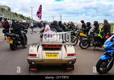 Brighton UK 8 septembre 2024 - des centaines de motocyclistes et de rockeurs à l'Ace Day Brighton Burn Up qui fait partie du 30ème anniversaire de l'événement Ace Cafe Reunion qui commence à Londres et se termine sur Madeira Drive à Brighton . Le week-end de 3 jours célèbre l'histoire et le patrimoine du célèbre Ace Cafe à Londres 25 ans après sa fermeture en 1969 avec la première réunion qui a eu lieu en 1994 à Londres et à Brighton : Credit Simon Dack / Alamy Live News Banque D'Images