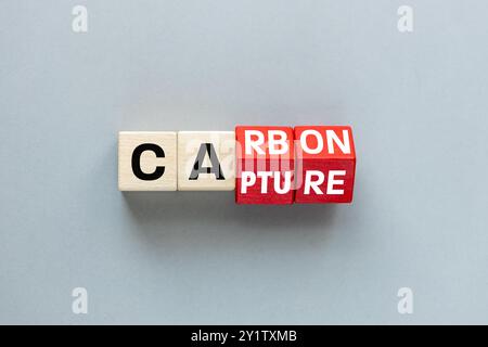 Symbole de captage de carbone. Transformez les cubes en bois et changez le mot concept Carbon en Capture. Beau fond gris Business concept écologique. fla Banque D'Images