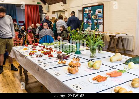 Spectacle de fleurs à Otterton Village Hall. Exibits végétaux. Banque D'Images