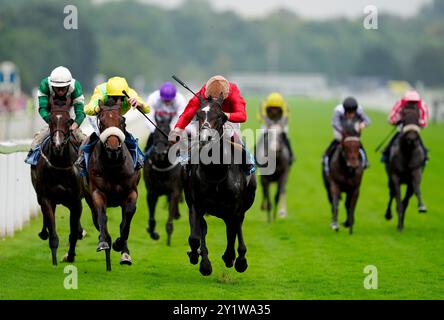 Brighton Boy (au centre) monté par le jockey Oisin Murphy sur leur chemin pour gagner le Irish Thoroughbred Marketing Nursery à l'hippodrome de York. Date de la photo : dimanche 8 septembre 2024. Banque D'Images