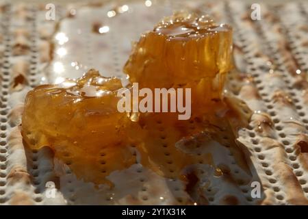 Matzah juive avec miel et nid d'abeilles, photo en gros plan Banque D'Images