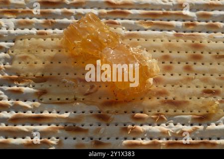 Matzah juive avec miel et nid d'abeilles, photo en gros plan Banque D'Images