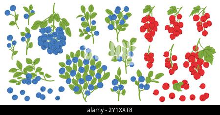 Jeu de vecteurs d'icônes de myrtilles de dessin animé et de groseilles. Illustration alimentaire de fruits colorés pour le produit agricole de conception, magasin végétarien d'étiquette de marché. Illustration de Vecteur