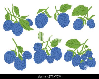Jeu de vecteurs d'icônes de branche de baies de dessin animé. Illustration de fruits colorés pour le produit agricole de conception, magasin végétarien d'étiquette de marché. Illustration de Vecteur
