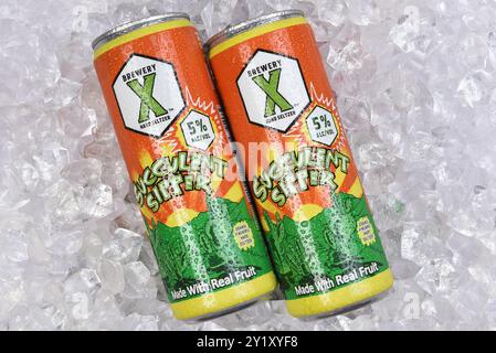 IRVINE, CALIFORNIE - 6 septembre 2024 : deux boîtes de Brewery X succulent Sipper Hard Seltzer sur un lit de glace. Banque D'Images