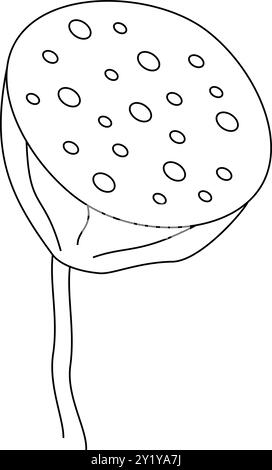 Icône de contour isolé Lotus Seed. Vector bio alimentation saine fine ligne, graines de pods et cuisine asiatique orientale Illustration de Vecteur