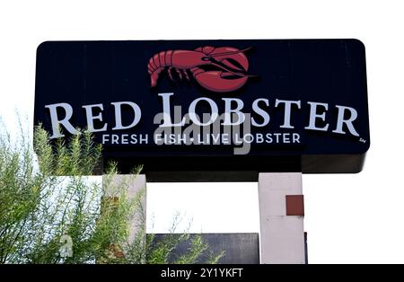 Las Vegas, États-Unis. 07 septembre 2024. LAS VEGAS, NEVADA - 7 SEPTEMBRE : un panneau pour Red Lobster est vu le 7 septembre 2024 à Las Vegas, Nevada. (Photo de Bryan Steffy/Sipa USA) crédit : Sipa USA/Alamy Live News Banque D'Images