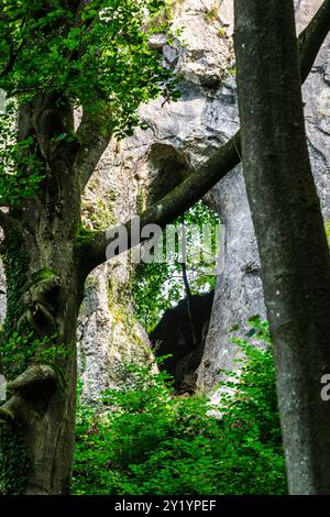La réserve naturelle, les falaises et le village de Comblain-au-pont |- grottes ; grotte et trou dans la pierre dû au phénonoménon karstique la réserve Banque D'Images