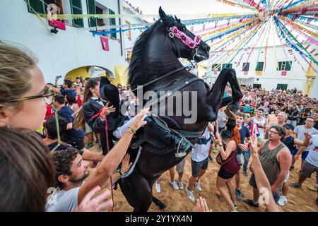 Danse traditionnelle avec des chevaux, 'Jaleo', originaire du 14ème siècle, fêtes de Sant Bartomeu, Ferreries, Minorque, îles Baléares, Espagne. Banque D'Images