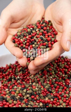 Une poignée de grains de poivre mélangés - poivrons rouges, verts, blancs et noirs dans les mains. Banque D'Images