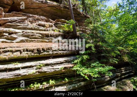 Les falaises de grès cambrien le long de la rivière Wisconsin dans les Wisconsin Dells. Banque D'Images