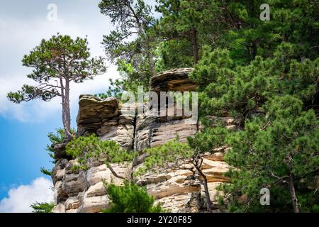 Falaises de grès cambrien le long de la rivière Wisconsin dans les Wisconsin Dells. Banque D'Images