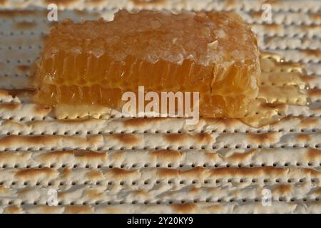 Matzah juive avec miel et nid d'abeilles, photo en gros plan Banque D'Images