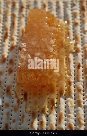 Matzah juive avec miel et nid d'abeilles, photo en gros plan Banque D'Images