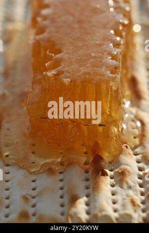 Matzah juive avec miel et nid d'abeilles, photo en gros plan Banque D'Images