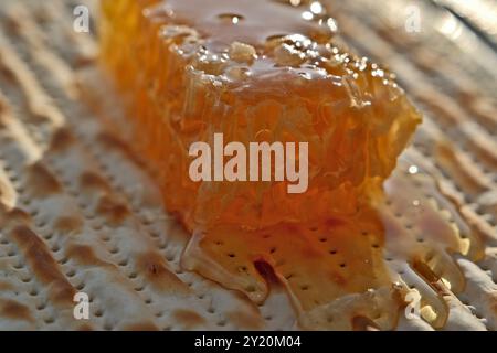 Matzah juive avec miel et nid d'abeilles, photo en gros plan Banque D'Images