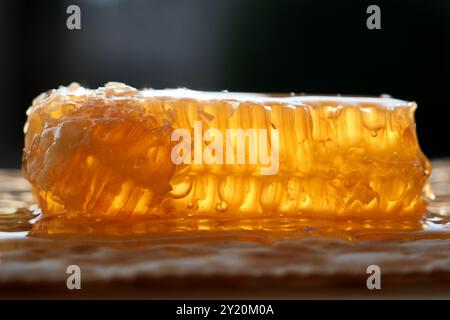 Matzah juive avec miel et nid d'abeilles, photo en gros plan Banque D'Images