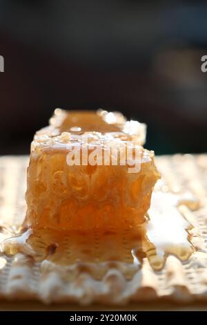 Matzah juive avec miel et nid d'abeilles, photo en gros plan Banque D'Images