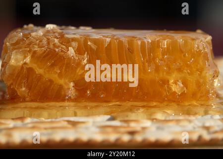 Matzah juive avec miel et nid d'abeilles, photo en gros plan Banque D'Images