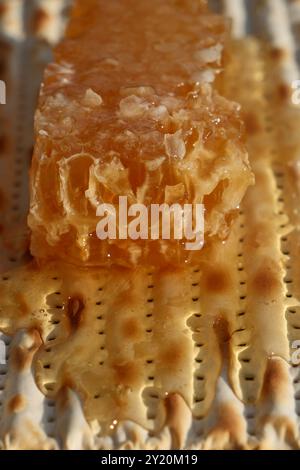 Matzah juive avec miel et nid d'abeilles, photo en gros plan Banque D'Images