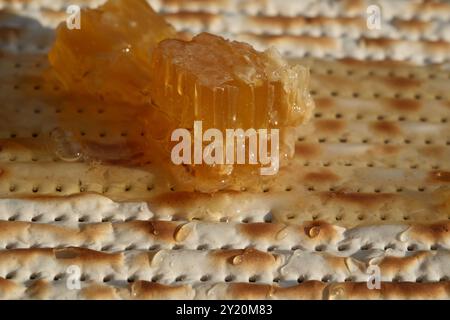 Matzah juive avec miel et nid d'abeilles, photo en gros plan Banque D'Images