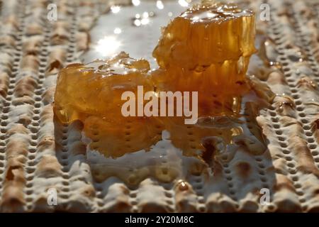 Matzah juive avec miel et nid d'abeilles, photo en gros plan Banque D'Images