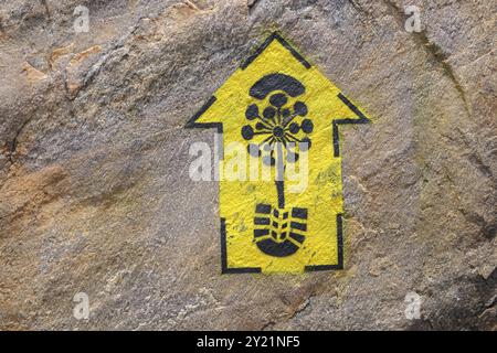 Marqueur jaune de sentier de randonnée avec empreinte sur sol rocheux, Biribiri State Park, Minas Gerais, Brésil, Amérique du Sud Banque D'Images