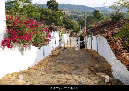 Vue jusqu'à une vieille rue pavée encadrée de maisons traditionnelles en plâtre blanc, murs, buissons rouges en fleurs, Barichara, Colombie, Amérique du Sud Banque D'Images