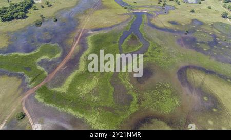 Vue aérienne étonnante du paysage typique des zones humides du Pantanal traversé par des chemins de terre avec des lagunes, des rivières, des prairies et des arbres, Mato Grosso, Brésil, Sud A Banque D'Images