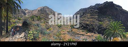 Vallée d'Imada sur la Gomera Banque D'Images