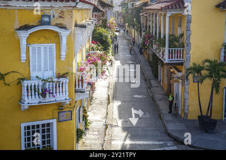 Vue en haut angle d'une rue étroite avec des maisons historiques avec des balcons décorés au soleil, Colombie, patrimoine mondial de l'UNESCO, Amérique du Sud Banque D'Images