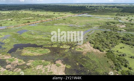 Vue aérienne du magnifique paysage des zones humides du Pantanal avec route Transpantaneira et oiseaux aquatiques, Mato Grosso, Brésil, Amérique du Sud Banque D'Images