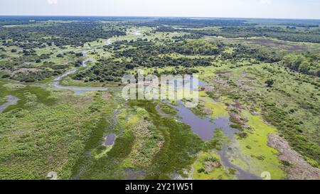 Plan aérien du paysage typique des zones humides du Pantanal avec lagons, forêts, prairies, rivières, champs et horizon sans fin, Mato Grosso, Brésil, Amer du Sud Banque D'Images