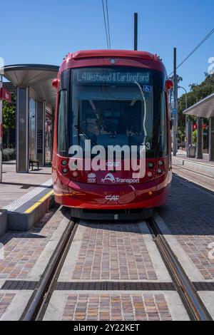 Station de tramway Ngara à l'hôpital Cumberland Banque D'Images