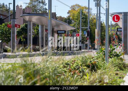 Station de tramway Ngara à l'hôpital Cumberland Banque D'Images