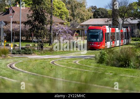 Station de tramway Ngara à l'hôpital Cumberland Banque D'Images