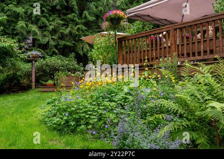 Issaquah, Washington, États-Unis. Jardin de fleurs pollinisateurs à côté d'un pont, contenant Ladyfern, Walker's Lowcatmint, Rozanne Geranium, Tickseed, Welsh Poppy Banque D'Images