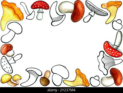 Cadre à partir d'un ensemble de champignons. Champignons de différentes formes, tailles et types. Dessins avec un contour noir et avec remplissage aquarelle de différentes couleurs Banque D'Images
