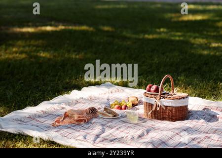Couverture confortable avec panier et collation sur l'herbe fraîche tondue dans le parc Banque D'Images