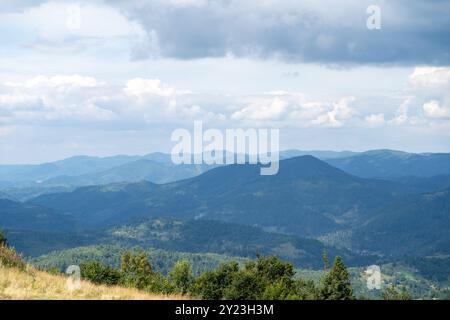 Chaînes de montagnes Carpates. Pic forestier de colline en été Banque D'Images
