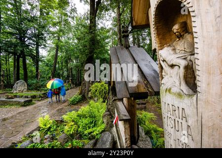 Vieux cimetière, -Stary cmentarz-, Zakopane, chaîne des Carpates, Pologne, europe de l'est Banque D'Images