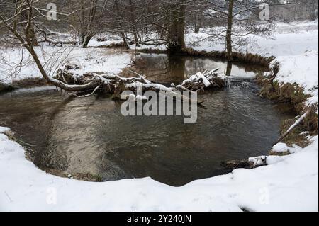 Petit barrage construit par des castors, endiguant un petit plan d'eau avec du bois et de la neige Banque D'Images