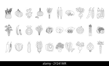 Collection de légumes organiques Line Art, alimentation verte de vecteur sain naturel Illustration de Vecteur