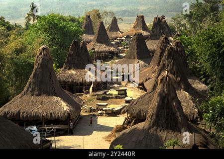 Maisons traditionnelles sumbanaises dans le village traditionnel de Praijing à Tebara, Waikabubak, Sumba occidental, Nusa Tenggara, Indonésie. Banque D'Images