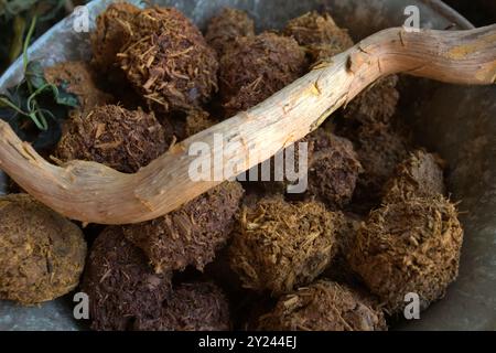 Matériaux pour produire la teinture naturelle dans un atelier de tissus traditionnels sumbanais à Waingapu, Sumba est, Nusa Tenggara est, Indonésie. Banque D'Images