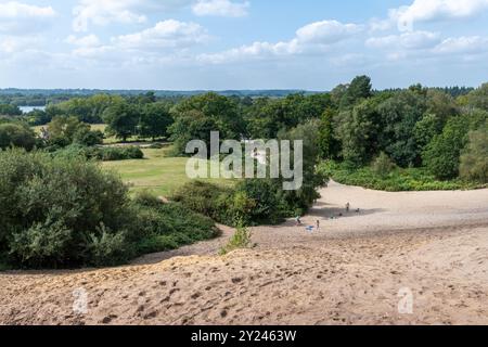 Fosse de sable désaffectée à Rockford Common dans la New Forest, Hampshire, Angleterre, Royaume-Uni, avec la famille et les enfants jouant dans le sable Banque D'Images