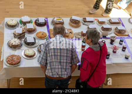 Spectacle de village dans la salle de village Old Basing, Hampshire, Angleterre, en septembre 2024. Vue sur les personnes et les stands avec entrées de compétition depuis le balcon Banque D'Images