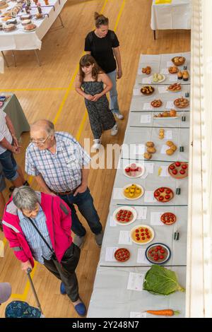 Spectacle de village dans la salle de village Old Basing, Hampshire, Angleterre, en septembre 2024. Vue sur les personnes et les stands avec entrées de compétition depuis le balcon Banque D'Images