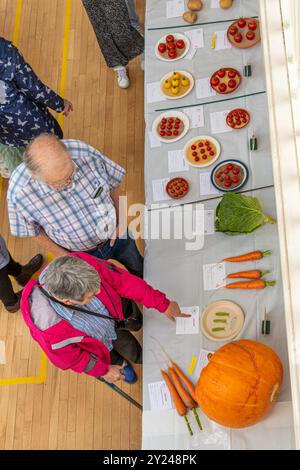 Spectacle de village dans la salle de village Old Basing, Hampshire, Angleterre, en septembre 2024. Vue sur les personnes et les stands avec entrées de compétition depuis le balcon Banque D'Images